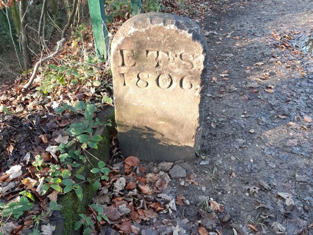 Boundary Stone in Elnup Wood near Mill Dam Cottages